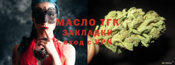 МДПВ Протвино