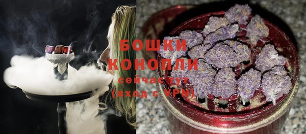 МДПВ Протвино