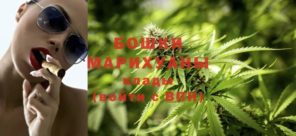 МДПВ Протвино
